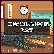 公司新闻