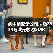 凯中精密子公司拟逾2539万欧元收购SMK 凯中精密子公司拟逾2539万欧元收购SMK