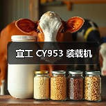 宜工 CY953 装载机 宜工 CY953 装载机