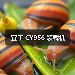 宜工 CY956 装载机 宜工 CY956 装载机