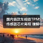 国内首款车规级TPMS传感器芯片亮相 缓解中国汽车缺芯局面 国内首款车规级TPMS传感器芯片亮相 缓解中国汽车缺芯局面