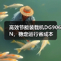 高效节能装载机DG906N,稳定运行省成本 高效节能装载机DG906N,稳定运行省成本