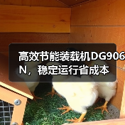 高效节能装载机DG906N,稳定运行省成本 高效节能装载机DG906N,稳定运行省成本