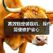 高效稳定装载机,操作简便维护省心 高效稳定装载机,操作简便维护省心