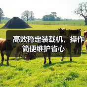 高效稳定装载机,操作简便维护省心 高效稳定装载机,操作简便维护省心