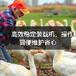 高效稳定装载机,操作简便维护省心 高效稳定装载机,操作简便维护省心