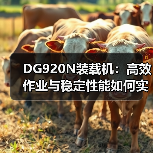 DG920N装载机:高效作业与稳定性能如何实现? DG920N装载机:高效作业与稳定性能如何实现?