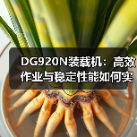 DG920N装载机:高效作业与稳定性能如何实现? DG920N装载机:高效作业与稳定性能如何实现?