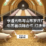 公司新闻