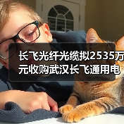 长飞光纤光缆拟2535万元收购武汉长飞通用电缆20%股权 长飞光纤光缆拟2535万元收购武汉长飞通用电缆20%股权