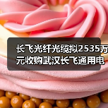 长飞光纤光缆拟2535万元收购武汉长飞通用电缆20%股权 长飞光纤光缆拟2535万元收购武汉长飞通用电缆20%股权