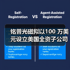 公司新闻
