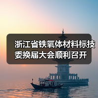 浙江省铁氧体材料标技委换届大会顺利召开 浙江省铁氧体材料标技委换届大会顺利召开