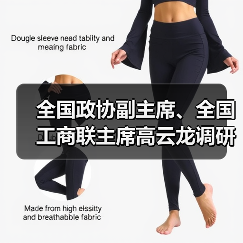 全国政协副主席、全国工商联主席高云龙调研亨通 全国政协副主席、全国工商联主席高云龙调研亨通