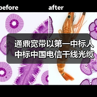 公司新闻