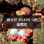 迪万伦 DL420(进口) 装载机 迪万伦 DL420(进口) 装载机