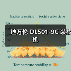 迪万伦 DL501-9C 装载机 迪万伦 DL501-9C 装载机