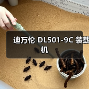 迪万伦 DL501-9C 装载机 迪万伦 DL501-9C 装载机