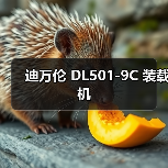 迪万伦 DL501-9C 装载机 迪万伦 DL501-9C 装载机