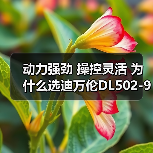 动力强劲 操控灵活 为什么选迪万伦DL502-9C装载机? 动力强劲 操控灵活 为什么选迪万伦DL502-9C装载机?