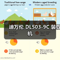 迪万伦 DL503-9C 装载机