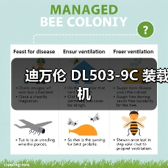 迪万伦 DL503-9C 装载机