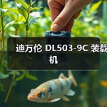 迪万伦 DL503-9C 装载机