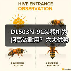 DL503N-9C装载机为何高效耐用?六大优势解析 DL503N-9C装载机为何高效耐用?六大优势解析