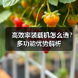 高效率装载机怎么选?多功能优势解析 高效率装载机怎么选?多功能优势解析