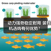 动力强劲稳定耐用 装载机选购有何优势? 动力强劲稳定耐用 装载机选购有何优势?