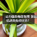 动力强劲稳定耐用 装载机选购有何优势? 动力强劲稳定耐用 装载机选购有何优势?