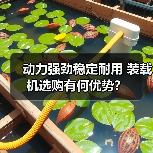 动力强劲稳定耐用 装载机选购有何优势? 动力强劲稳定耐用 装载机选购有何优势?