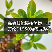 高效节能操作简便,迪万伦DL550为何成为行业首选? 高效节能操作简便,迪万伦DL550为何成为行业首选?