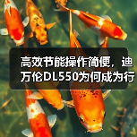 高效节能操作简便,迪万伦DL550为何成为行业首选? 高效节能操作简便,迪万伦DL550为何成为行业首选?