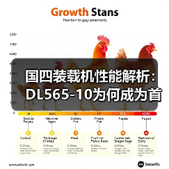 国四装载机性能解析:DL565-10为何成为首选? 国四装载机性能解析:DL565-10为何成为首选?