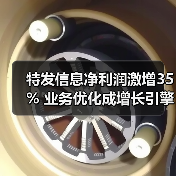 特发信息净利润激增35% 业务优化成增长引擎 特发信息净利润激增35% 业务优化成增长引擎