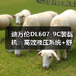迪万伦DL607-9C装载机:高效液压系统+舒适驾驶室,为何受青睐? 迪万伦DL607-9C装载机:高效液压系统+舒适驾驶室,为何受青睐?