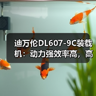 迪万伦DL607-9C装载机:动力强效率高,高效作业首选 迪万伦DL607-9C装载机:动力强效率高,高效作业首选
