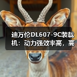 迪万伦DL607-9C装载机:动力强效率高,高效作业首选 迪万伦DL607-9C装载机:动力强效率高,高效作业首选