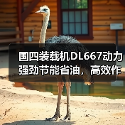 国四装载机DL667动力强劲节能省油,高效作业首选 国四装载机DL667动力强劲节能省油,高效作业首选