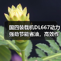国四装载机DL667动力强劲节能省油,高效作业首选 国四装载机DL667动力强劲节能省油,高效作业首选