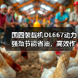 国四装载机DL667动力强劲节能省油,高效作业首选 国四装载机DL667动力强劲节能省油,高效作业首选