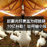 新疆光纤覆盖为何能获10亿补助?如何缩小城乡数字鸿沟? 新疆光纤覆盖为何能获10亿补助?如何缩小城乡数字鸿沟?