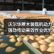 沃尔华蔗木装载机动力强劲传动高效作业优势解析 沃尔华蔗木装载机动力强劲传动高效作业优势解析