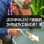 沃尔华DLZ917装载机为何成为工程优选?高效性能解析 沃尔华DLZ917装载机为何成为工程优选?高效性能解析