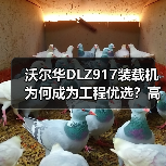 沃尔华DLZ917装载机为何成为工程优选?高效性能解析 沃尔华DLZ917装载机为何成为工程优选?高效性能解析