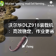 沃尔华DLZ918装载机:高效稳定,作业更省力? 沃尔华DLZ918装载机:高效稳定,作业更省力?