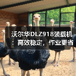 沃尔华DLZ918装载机:高效稳定,作业更省力? 沃尔华DLZ918装载机:高效稳定,作业更省力?
