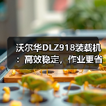 沃尔华DLZ918装载机:高效稳定,作业更省力? 沃尔华DLZ918装载机:高效稳定,作业更省力?