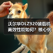 沃尔华DLZ920装载机高效性能如何?核心优势解析 沃尔华DLZ920装载机高效性能如何?核心优势解析